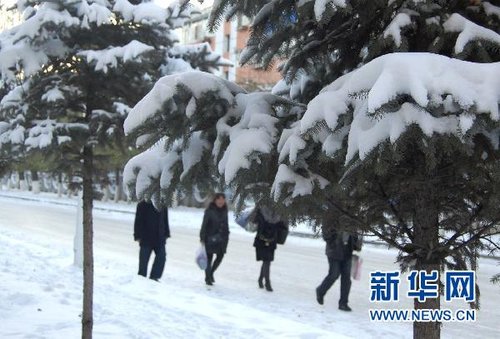 哈爾濱、大慶降下今年入冬以來第一場雪