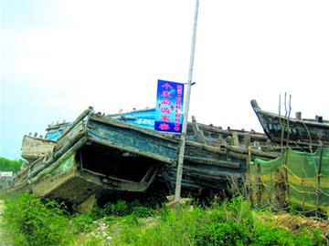 小麥島驚現六百條漁船墓地 網友擔心近海已無魚