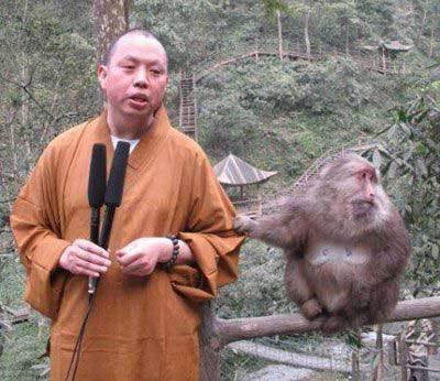 熱愛繩命過后禪師體走紅 偽學術(shù)青年紛紛模仿