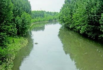 藍星石油漏油流入小清河 出現死魚氣味刺鼻