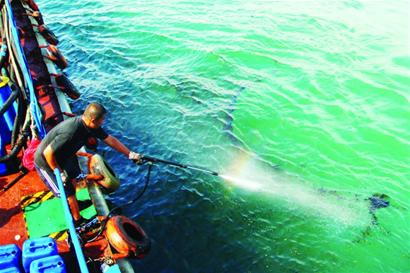 小青島近?，F千米油污帶 夾帶漂浮垃圾來源不詳