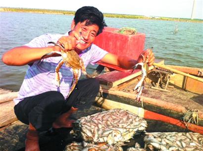青島今年大閘蟹更鮮美 養殖戶喂足青魚蛤蜊頂蓋兒肥