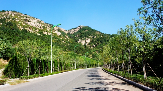 世園會(huì)內(nèi)景曝光:繁花似錦 鳥鳴婉轉(zhuǎn)