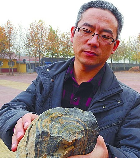 麥田下森林沉睡億年 即墨店集發現木化石