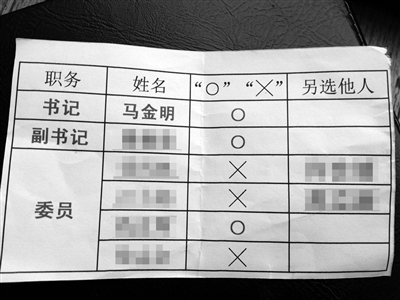 部分黨員提供的“選票”。新京報記者 劉珍妮 攝