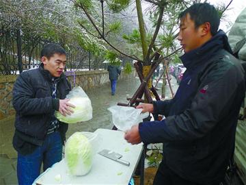 市人大代表、政協(xié)委員關(guān)注“菜事”建議拓寬銷售渠道