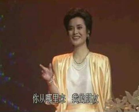 揭網友最愛的春晚女神