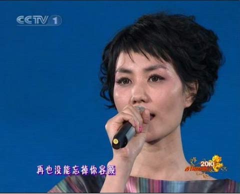 揭網友最愛的春晚女神