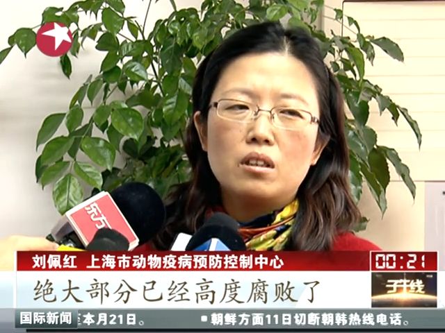 上海：黃浦江上游死豬檢出豬圓環病毒 不會感染人截圖