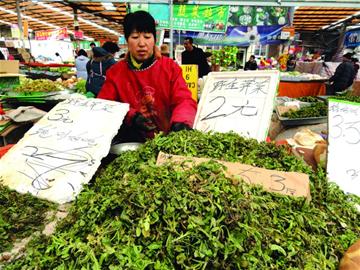 開春細數青島野菜