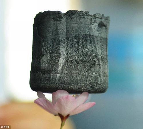 由浙江大學教授開發的石墨稀氣凝膠體，可可穩穩地立于一朵花的花瓣上。