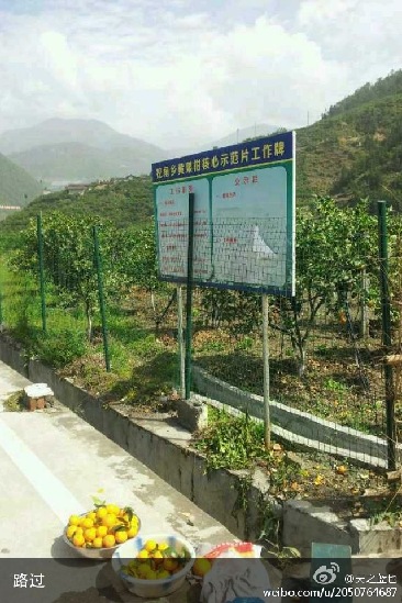 獨家:青島網友雅安地震親歷記