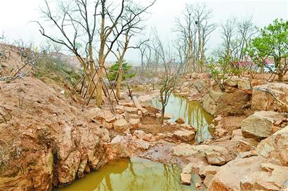 青島世園會將奉上百園盛宴 中華園國際園中西合璧 青島世園會將奉上百園盛宴 中華園國際園中西合璧