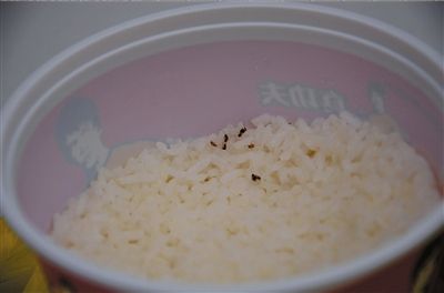 昨天中午12點多，市民戴先生在真功夫快餐安貞店用餐時，在米飯中發現數只小蟑螂。戴先生和店方交涉多時后，店方將出現蟑螂的套餐費退還。 京華時報實習記者 趙思衡 攝/視頻