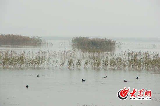 峽山湖國(guó)家濕地公園注重對(duì)自然環(huán)境的保護(hù)，公園的生物多樣性十分豐富，是我國(guó)內(nèi)陸候鳥遷徙通道上的重要驛站和棲息地