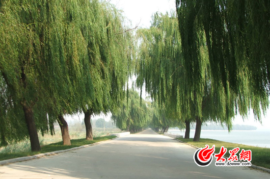 峽山湖國(guó)家濕地公園的環(huán)湖公路。